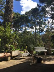 Casa em Campos do Jordão - 3 quartos, com churrasqueira