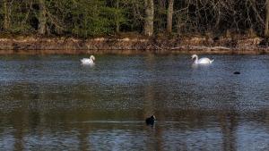 B&B / Chambres d'hotes Espace Nature Studio independant proche du Parc des oiseaux : Chambre Double - Vue sur Jardin - Non remboursable