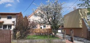 Rózsa Apartment