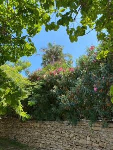 Villa Marisa - unforgettable Etna view