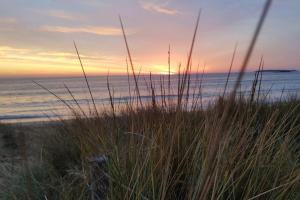 Maisons de vacances La maison de la plage, 600m de la plage, Formule tout inclus : photos des chambres