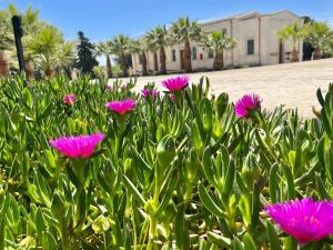 Borgo Vita Novella Resort