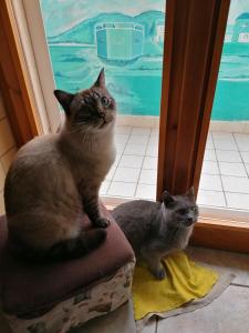 B&B Il Giardinetto Alghero img8