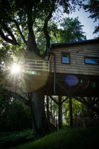 Strazdu Ligzda Off grid treehouse - Jumurda