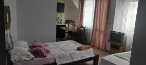 Apartment Ivaylo
