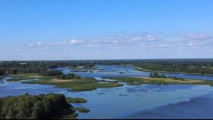 Sunny House - Narew, Łacha