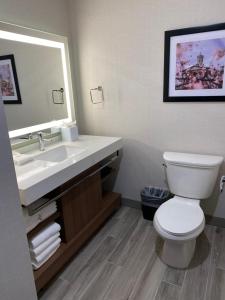 King Suite with Sofa - Non Smoking/Pet Friendly room in Comfort Inn & Suites Gallatin - Nashville Metro
