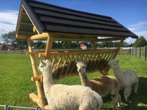 Osada Koniówka Domek D