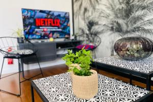 Maisons de vacances La Maison des Plantes, charmante, atypique et cosy pour 4 personnes avec parking et jardin : photos des chambres