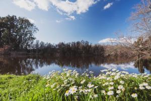 Binzas betzas Agriturismo img42