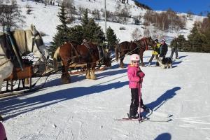 Appartements Superbe studio aux 2 Alpes au pied des pistes : photos des chambres