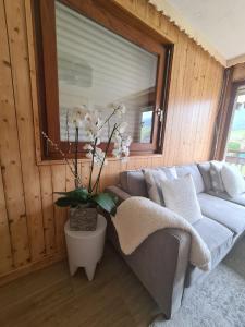 Appartements Luxury holidays apartment Praz sur Arly : Appartement avec Vue sur la Montagne