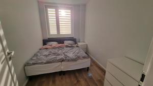 Apartament w Centrum