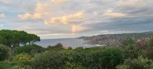 Villa Unica - Appartamenti Alba e Tramonto img26