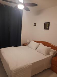 Apartamento en el centro de zaragoza "EL RUBÍ DEL PILAR"