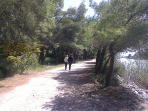 The Green Home Ilia Greece