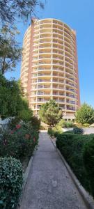 Praia da Rocha Summer Beach Sea View