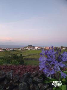 Charming Country House by Ponta Negra Azores