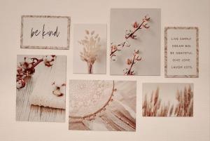 appartement cosy Strasbourg