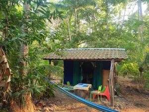 Jungle Tent 3x3, Latino Glamping & Tours, Paquera - Curú