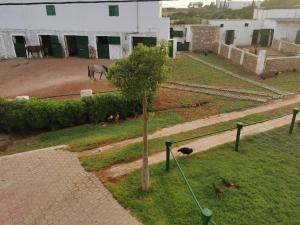 Gîte équestre Balade plage petit déjeuner au bord de la piscine
