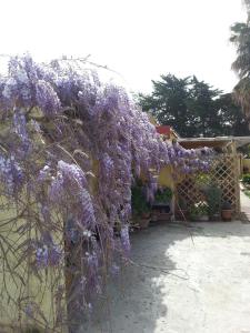 casa di campagna dal pozzo img45