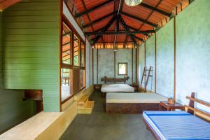 The Woods - Birding, Farming & Eco Living