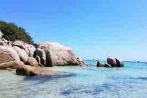 Appartements T3 avec terrasse au coeur de Portovecchio : photos des chambres