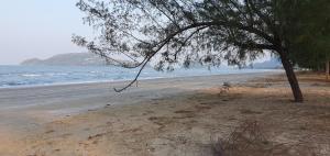 Aranya pool villa