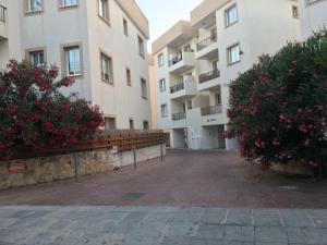 Ancient Paphos - cozy place next to the sea, marina, historical sites, buses, mall, and market