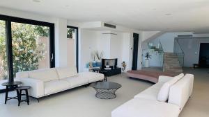 Luxurious and spacious pet friendly villa in Brela