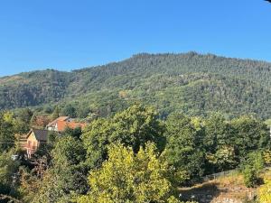 Gîte au Manoir des Sens avec bain nordique jacuzzi