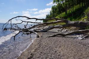 Ferienbauernhof Liesenberg Obstwiesenhaus Birnenbaum