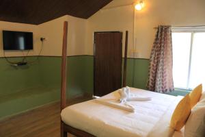 Avadale Tadoba - Stag Groups Not Allowed