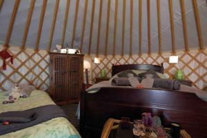 Magical Forest yurt