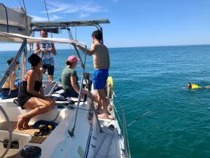 Location insolite en voilier, navigation, coucher de soleil, et baignades en mer