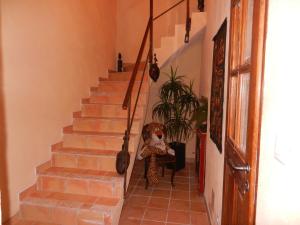 B&B / Chambres d'hotes La Feniere aux Hirondelles : photos des chambres