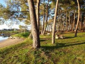 Appartements Studio a 150 m du Golfe du Morbihan : photos des chambres