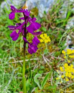 Casa Vacanze Rinaldi