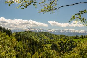 Górna Chata Mountains Chalet