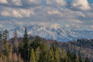 Górna Chata Mountains Chalet