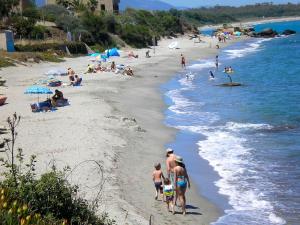Appartements Charmant studio a Linguizzetta 23 m² avec terrasse priveeC : photos des chambres