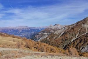 Appartements La Foux d'Allos : Studio Cosy au pied des pistes vue montagne : photos des chambres