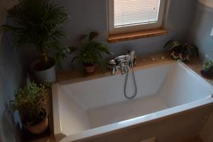 Apartament Zielony Ogródek