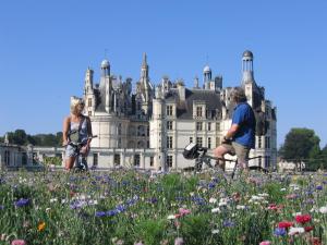 Maisons de vacances La Haute Bediniere : photos des chambres