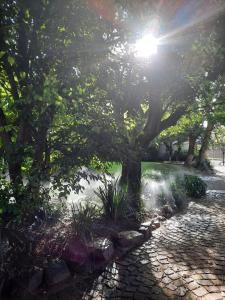 Nels Cottage, a private and peaceful cottage