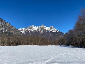 Chalets Le Catelan : photos des chambres