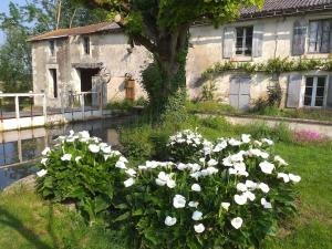 Appartements Gite du moulin : photos des chambres