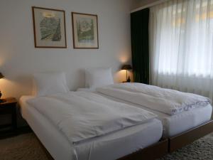 Apartment Chalet Bodmisunne by Interhome