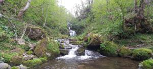 House in the clouds&სახლი ღრუბლებში